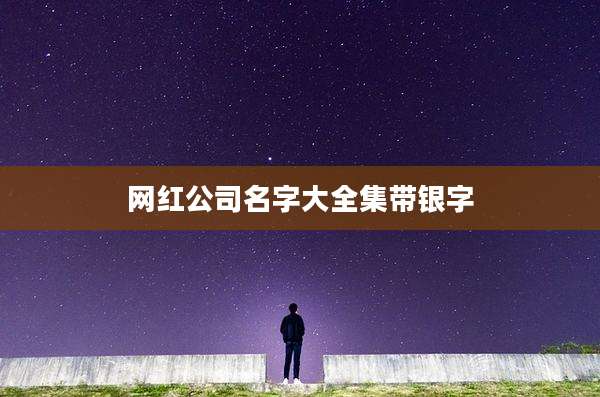 网红公司名字大全集带银字