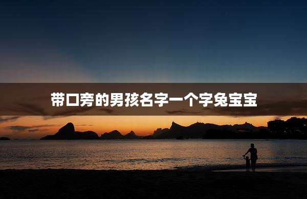 带口旁的男孩名字一个字兔宝宝