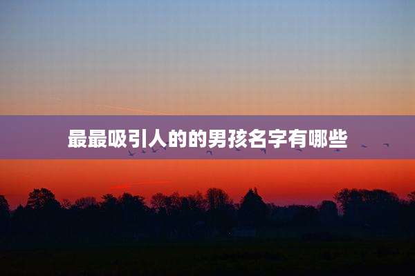 最最吸引人的的男孩名字有哪些
