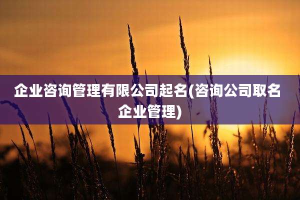 企业咨询管理有限公司起名(咨询公司取名 企业管理)