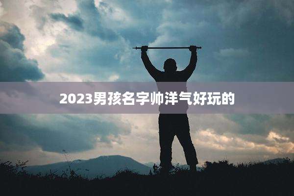 2023男孩名字帅洋气好玩的