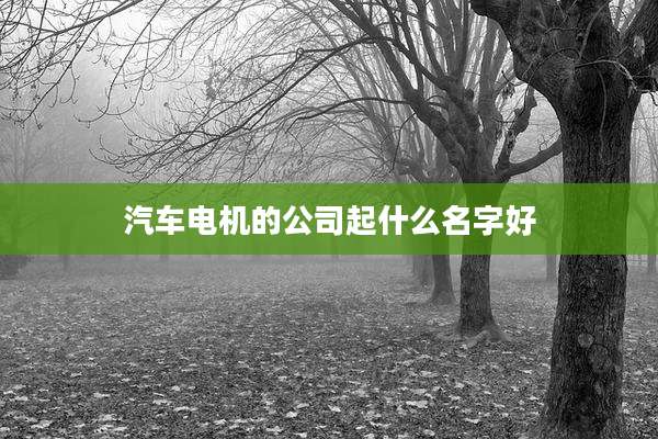 汽车电机的公司起什么名字好