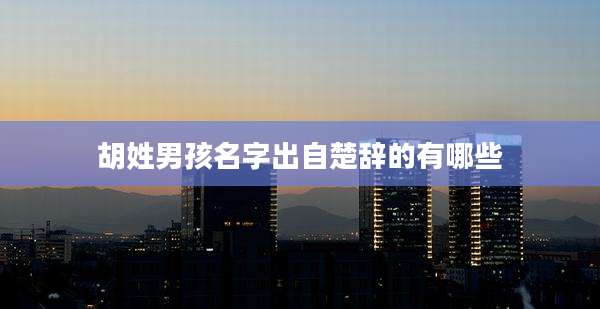 胡姓男孩名字出自楚辞的有哪些