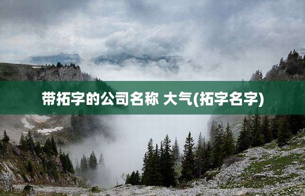 带拓字的公司名称 大气(拓字名字)