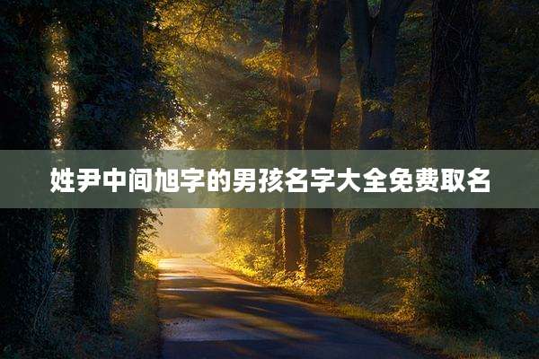 姓尹中间旭字的男孩名字大全免费取名