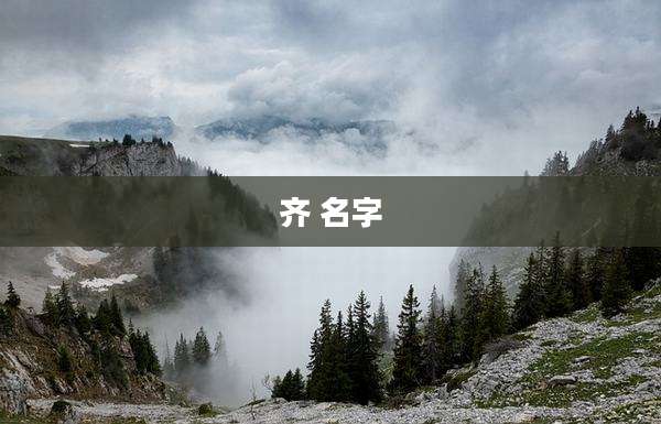 齐 名字