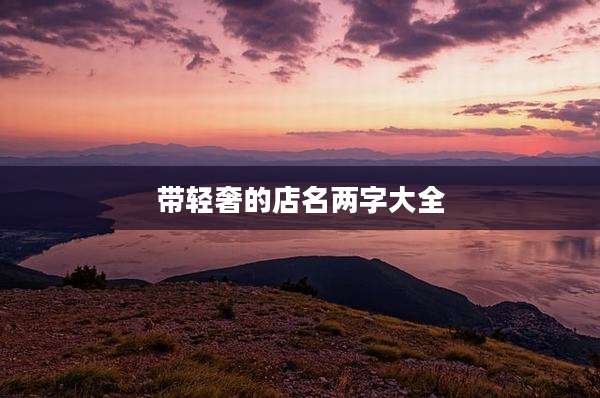 带轻奢的店名两字大全
