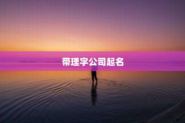 带理字公司起名