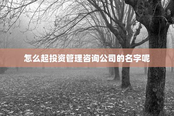 怎么起投资管理咨询公司的名字呢