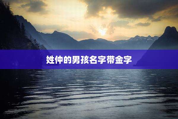 姓仲的男孩名字带金字