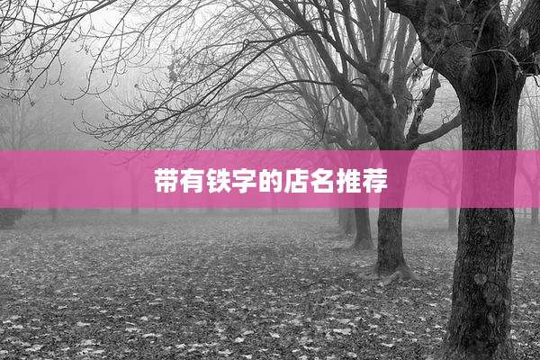 带有铁字的店名推荐