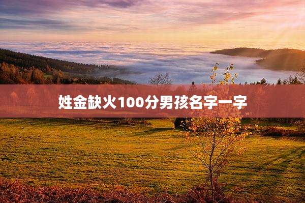 姓金缺火100分男孩名字一字
