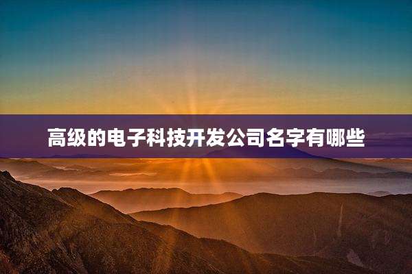 高级的电子科技开发公司名字有哪些