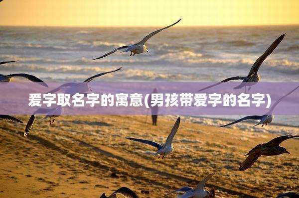 爰字取名字的寓意(男孩带爱字的名字)