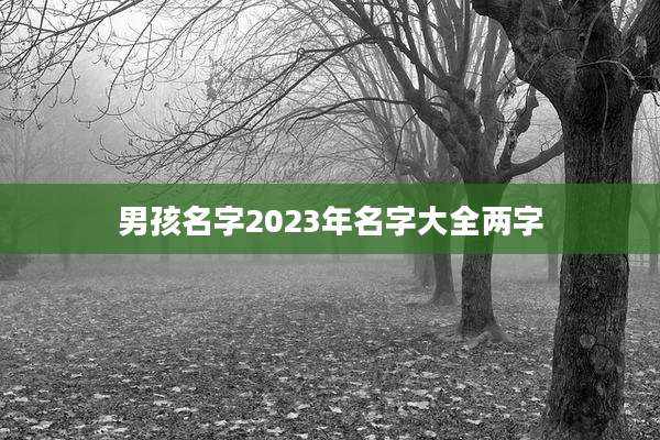 男孩名字2023年名字大全两字
