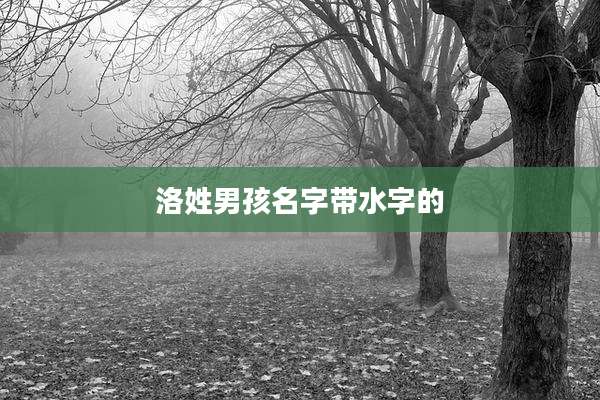 洛姓男孩名字带水字的