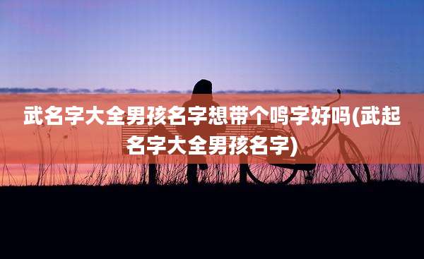 武名字大全男孩名字想带个鸣字好吗(武起名字大全男孩名字)