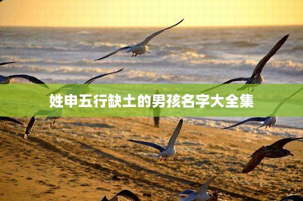 姓申五行缺土的男孩名字大全集