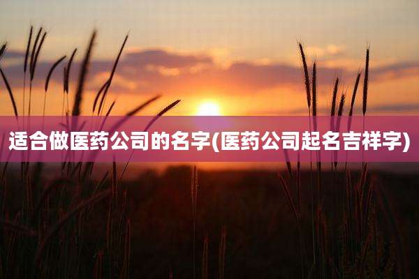 适合做医药公司的名字(医药公司起名吉祥字)