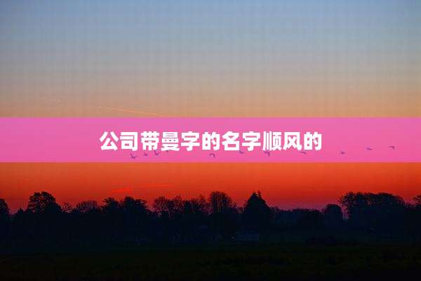 公司带曼字的名字顺风的