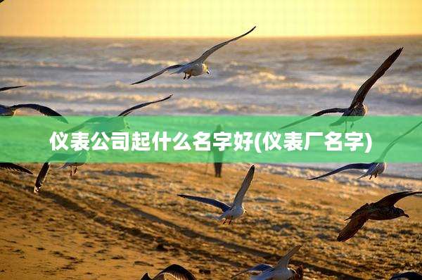 仪表公司起什么名字好(仪表厂名字)