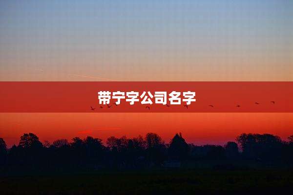 带宁字公司名字