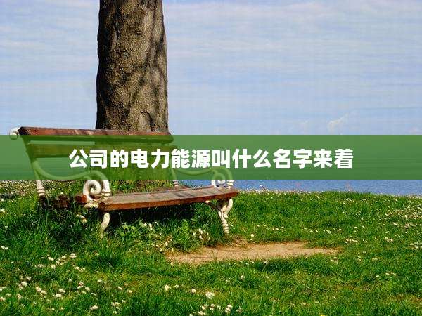 公司的电力能源叫什么名字来着