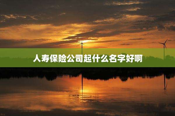 人寿保险公司起什么名字好啊