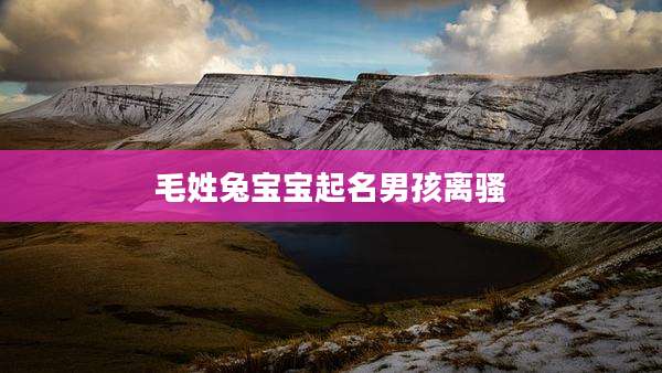 毛姓兔宝宝起名男孩离骚