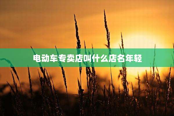 电动车专卖店叫什么店名年轻