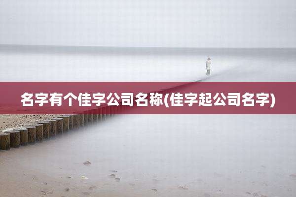 名字有个佳字公司名称(佳字起公司名字)