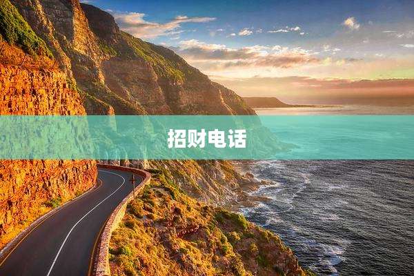 招财电话