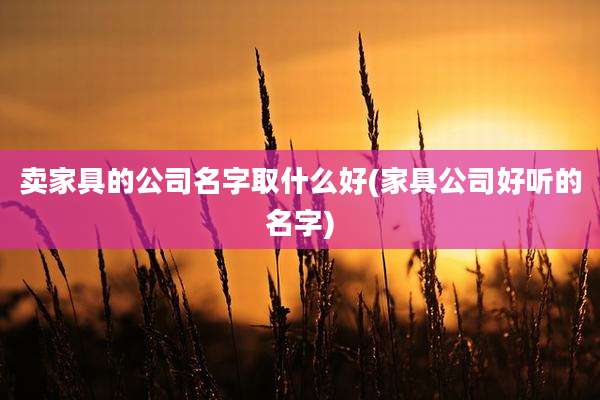 卖家具的公司名字取什么好(家具公司好听的名字)