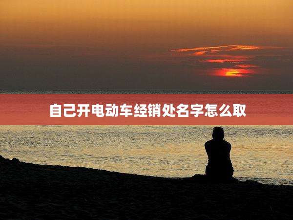 自己开电动车经销处名字怎么取