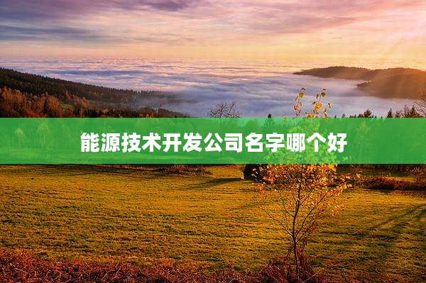 能源技术开发公司名字哪个好