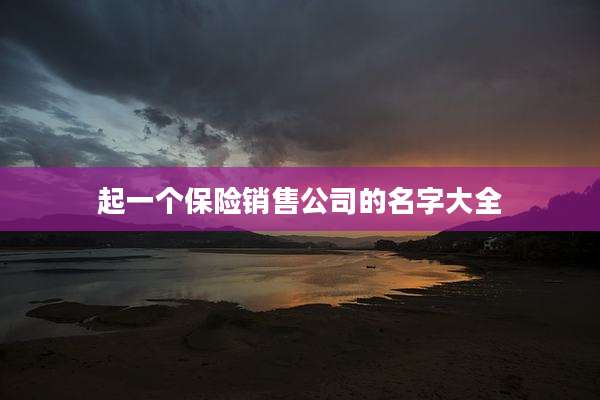 起一个保险销售公司的名字大全