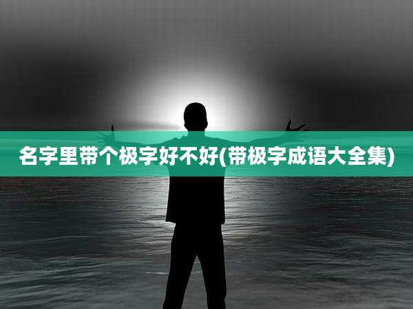 名字里带个极字好不好(带极字成语大全集)