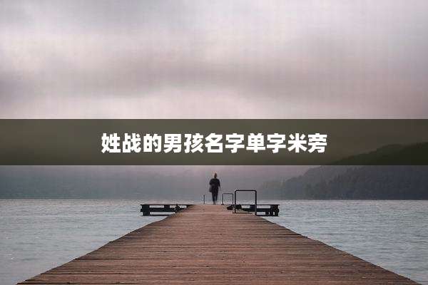 姓战的男孩名字单字米旁