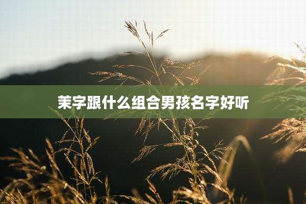 茉字跟什么组合男孩名字好听