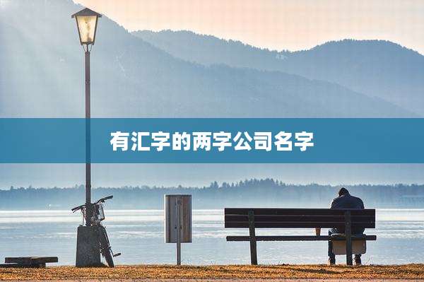 有汇字的两字公司名字