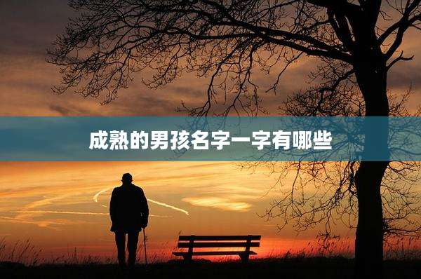 成熟的男孩名字一字有哪些