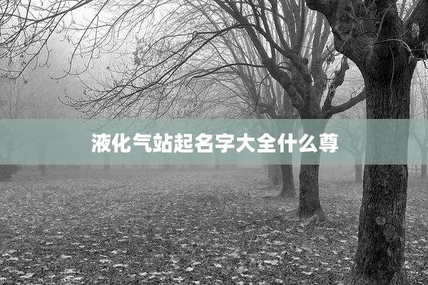 液化气站起名字大全什么尊