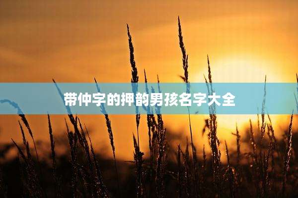 带仲字的押韵男孩名字大全