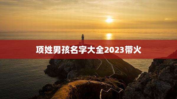 项姓男孩名字大全2023带火