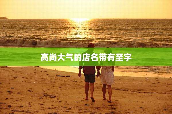 高尚大气的店名带有至字