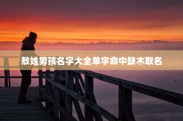 敖姓男孩名字大全单字命中缺木取名