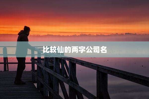比较仙的两字公司名
