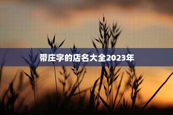 带庄字的店名大全2023年