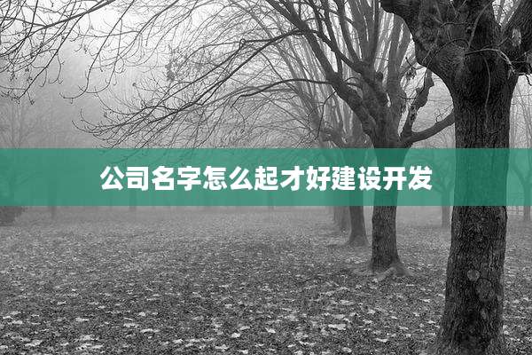 公司名字怎么起才好建设开发