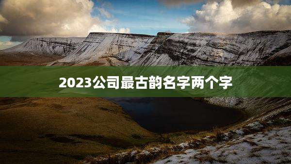 2023公司最古韵名字两个字